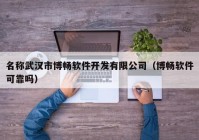 名称武汉市博畅软件开发有限公司（博畅软件可靠吗）