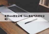 首页seo优化公司（seo有名气的优化公司）