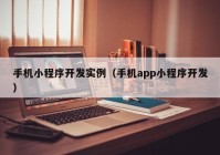 手机小程序开发实例（手机app小程序开发）