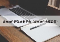 湖南软件开发定制平台（湖南软件有限公司）