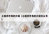 小程序开发的介绍（小程序开发的介绍怎么写）